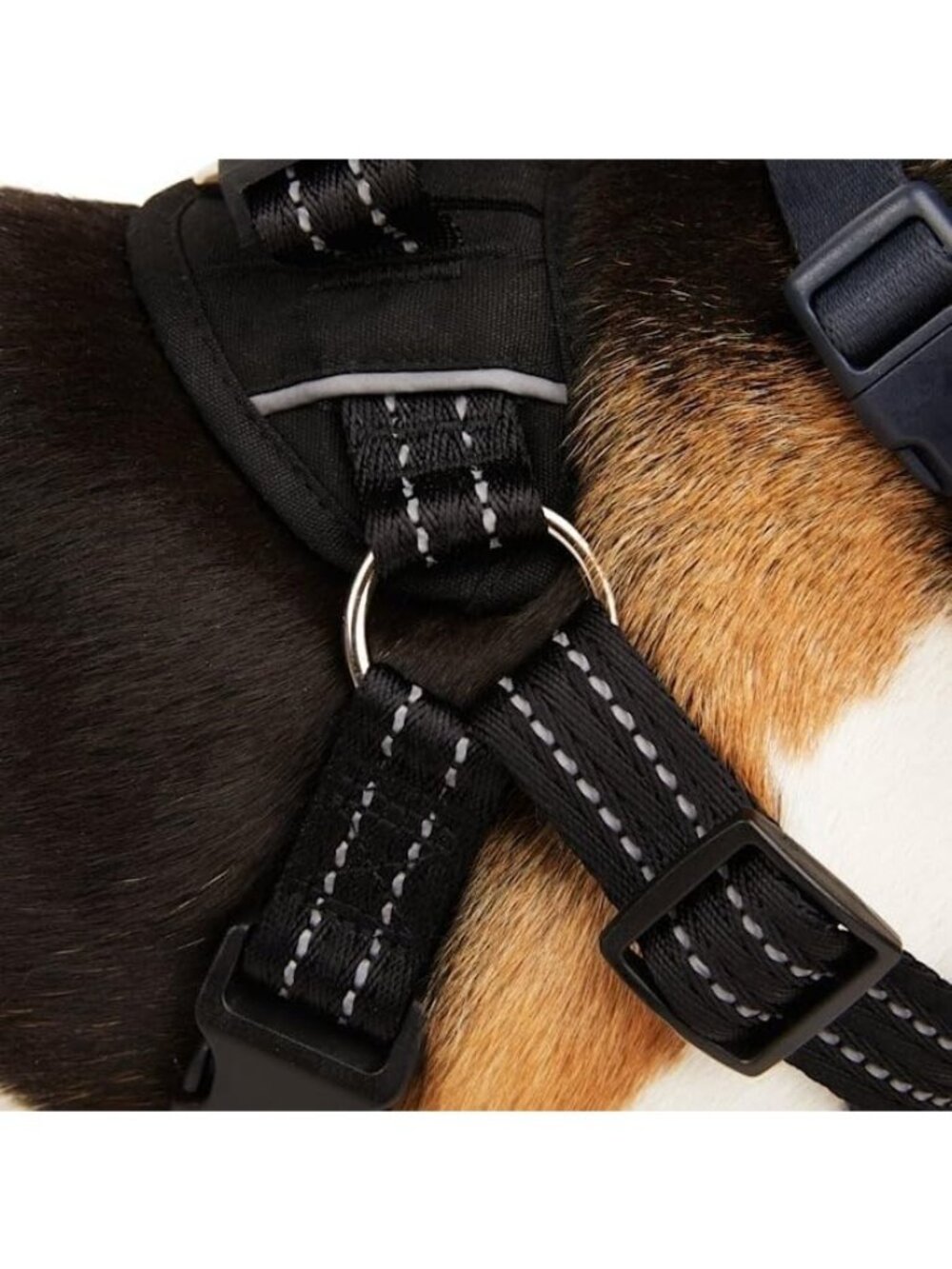 EveryYay Black Easy On Training Dog Harness XS Adjustable Petco Extra Small - Picture 6 of 10